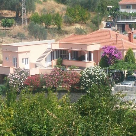 Guest'S House "Lindi&Roni" Leilighet Ulcinj Rom bilde