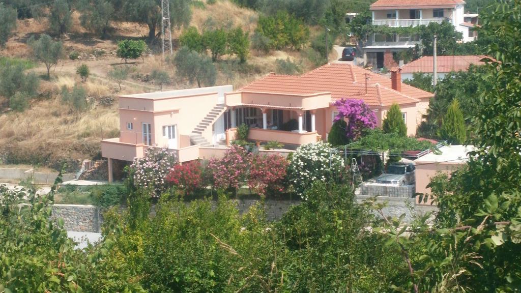 Guest'S House "Lindi&Roni" Leilighet Ulcinj Rom bilde